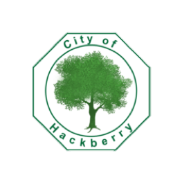 City of Hackberry Deposits