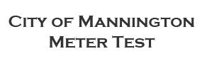 City of Mannington Meter Test