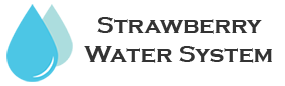 Strawberry Water System